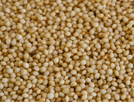 Amaranth Flour