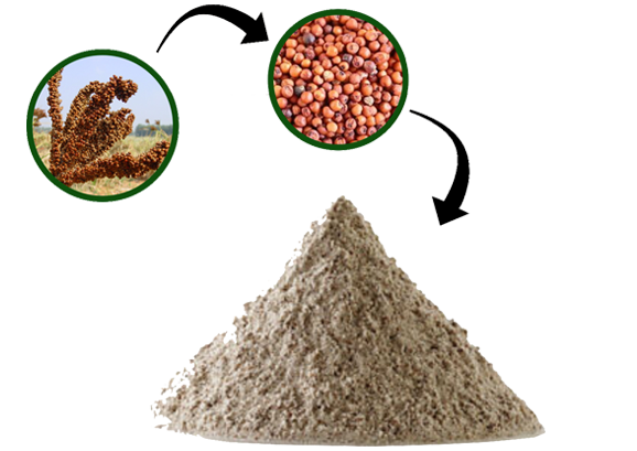 Finger Millet Flour