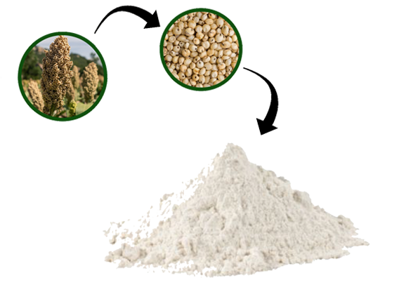 Guar Gum Flour