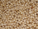 Sorghum Flour